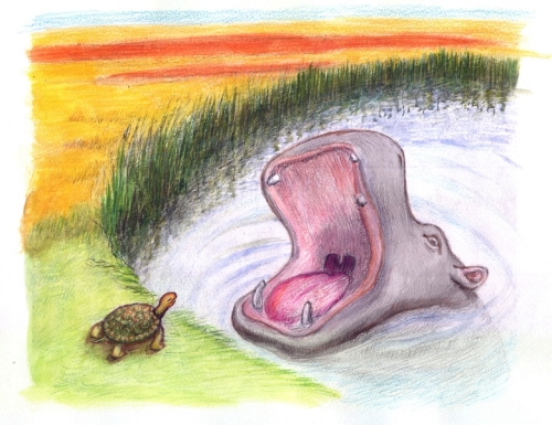 tortoise and hippo from "Were They Equal?"